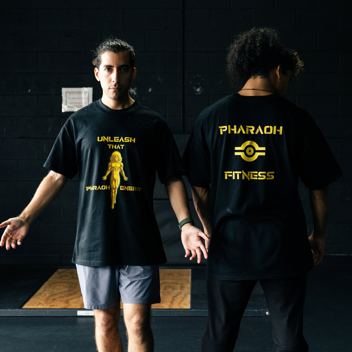 Unleash That Pharaoh Energy, Oversized Unisex Tee